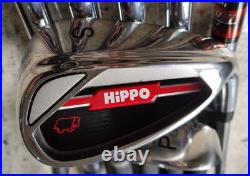 Hippo LADIES Right Hand Iron Set 5-SW True temper shaft brand new